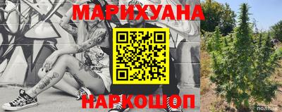 гашик Кунгур