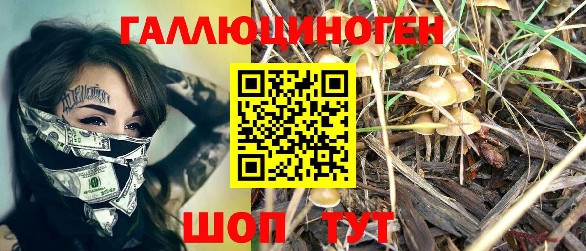 продажа наркотиков  Псилоцибиновые грибы Psilocybe  Вход с VPN  Гуково 