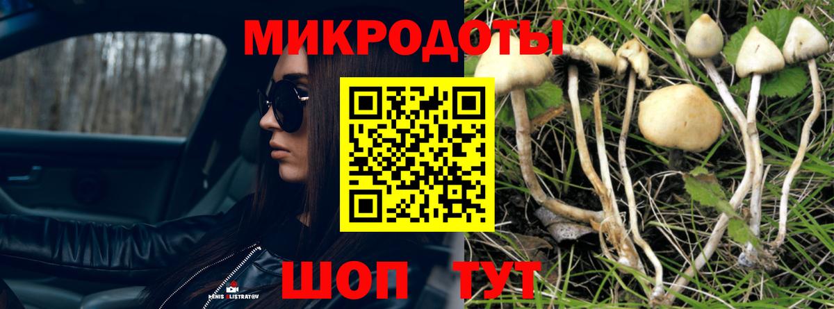Галлюциногенные грибы Psilocybine cubensis Гуково