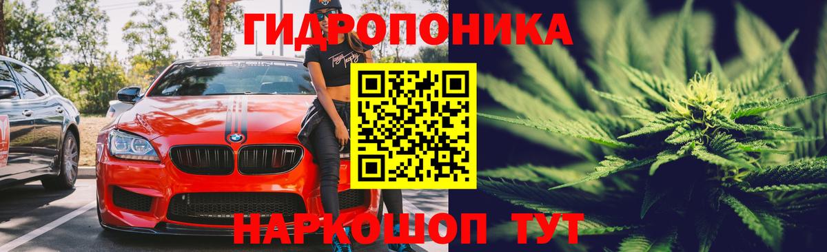Гуково  МАРИХУАНА ГИДРОПОН  Вход с VPN  Канабис план 